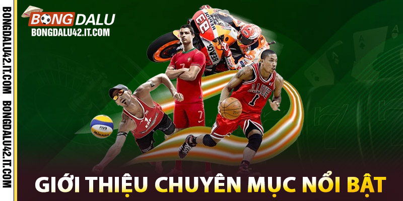 Giới thiệu những chuyên mục nổi bật